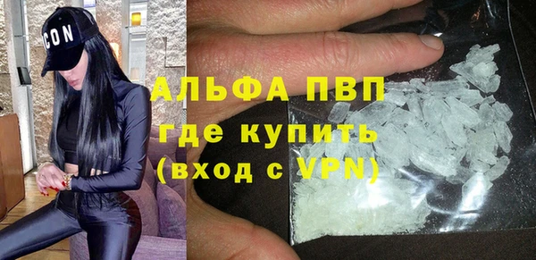 винт Абаза