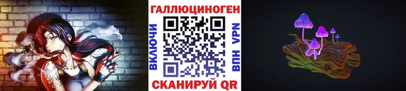 как найти закладки  Канск  Галлюциногенные грибы Cubensis 